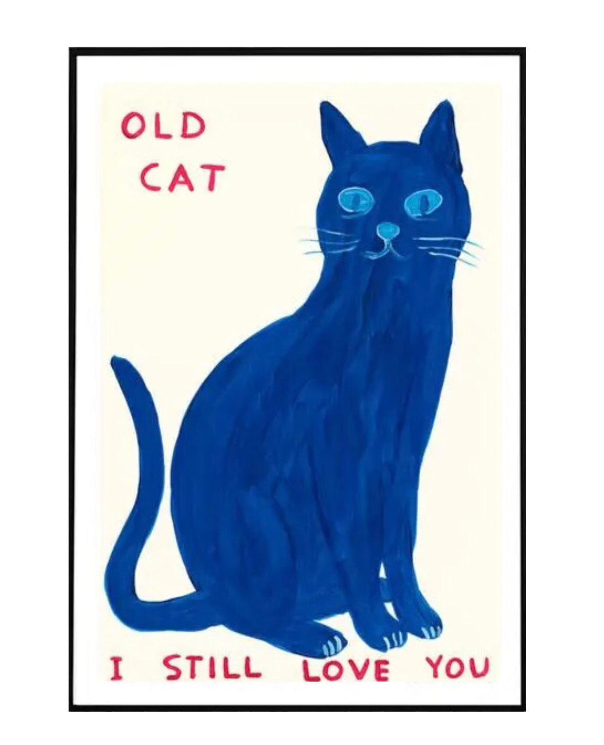 "old cat, i still love you" poster