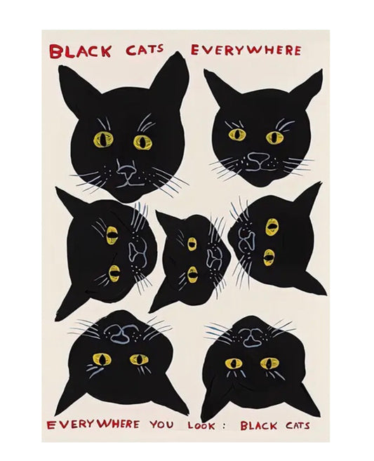 " black cats everywhere " poster
