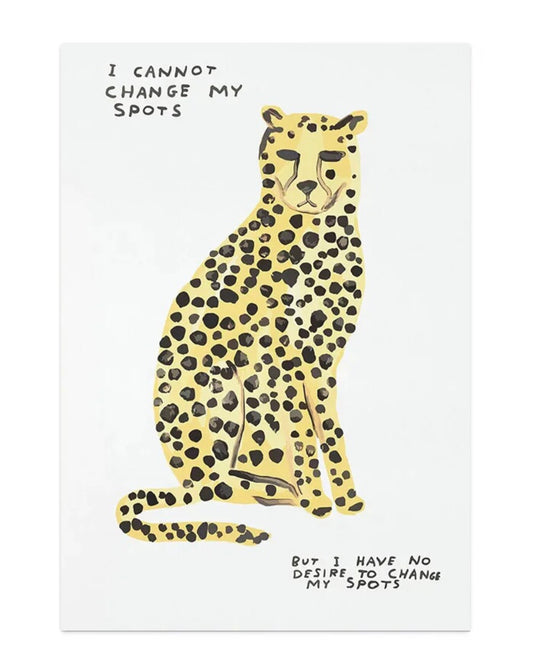 " i cannot change my spots" poster