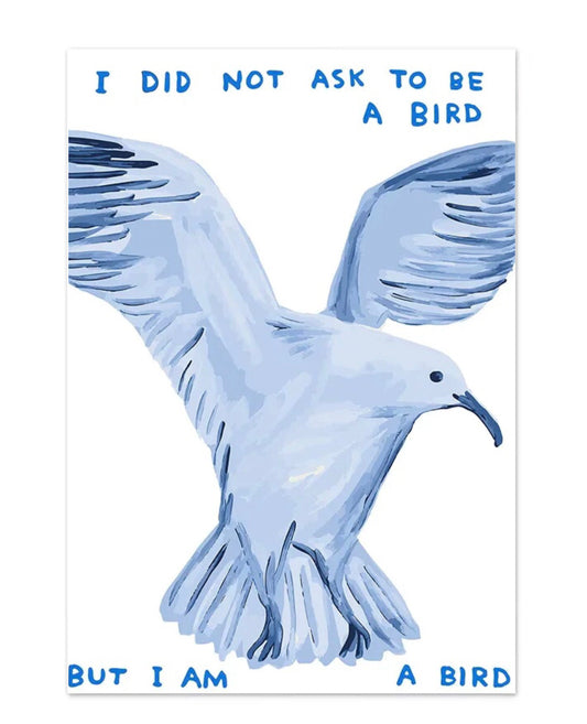 " i did not ask to be a bird" poster