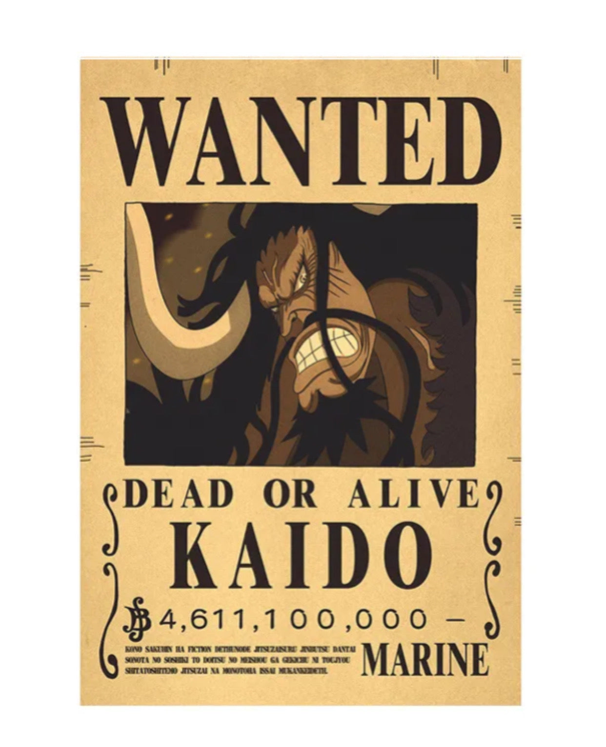 wanted kaido poster