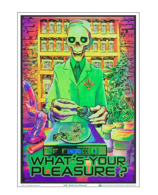 "what's your pleasure" poster